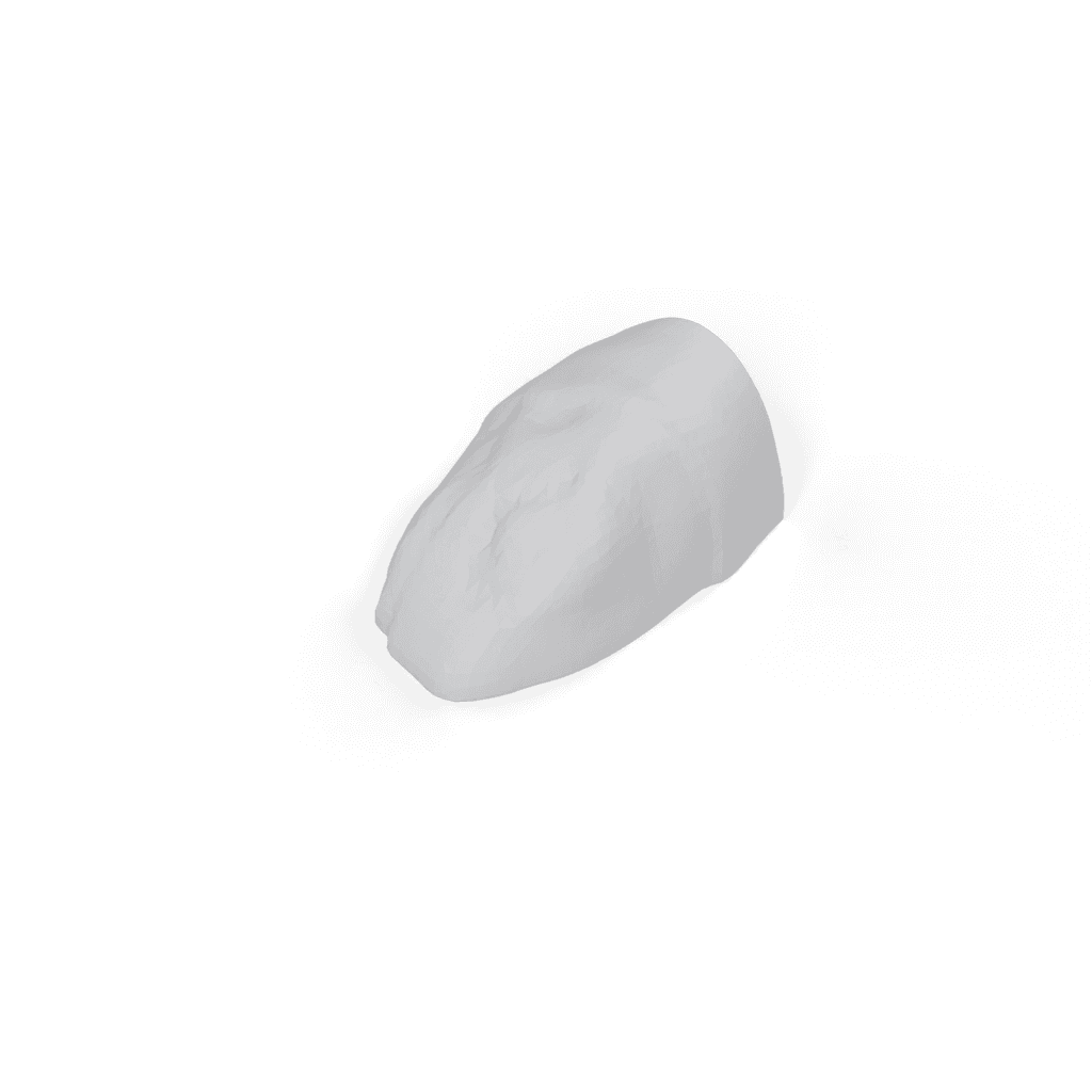 head