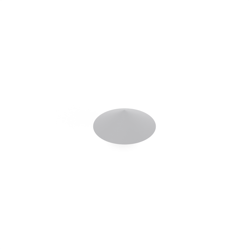 optional 200mm roof view 2