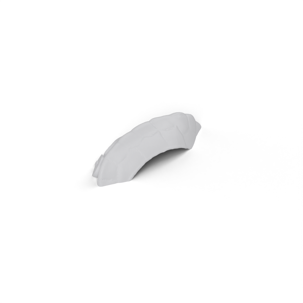 right body