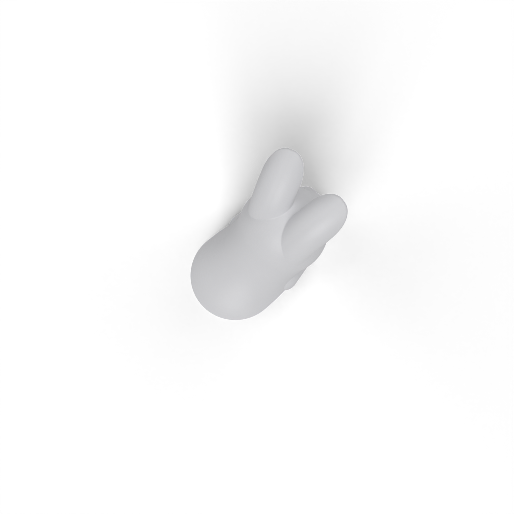 bunny view 4